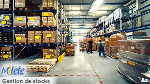 Module Gestion de stock et Vente